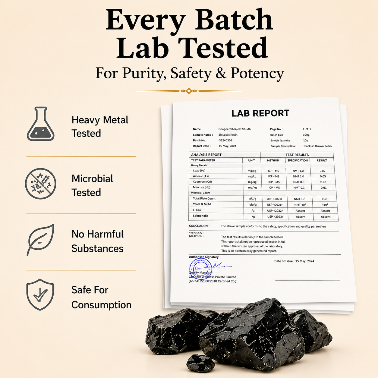 Pure Himalayan Shilajit