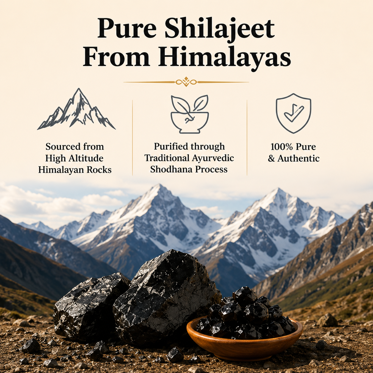 Pure Himalayan Shilajit