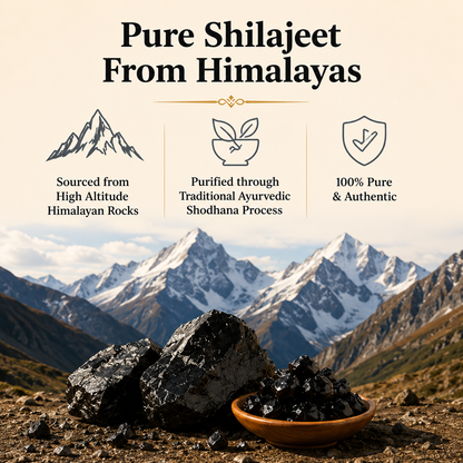 Pure Himalayan Shilajit